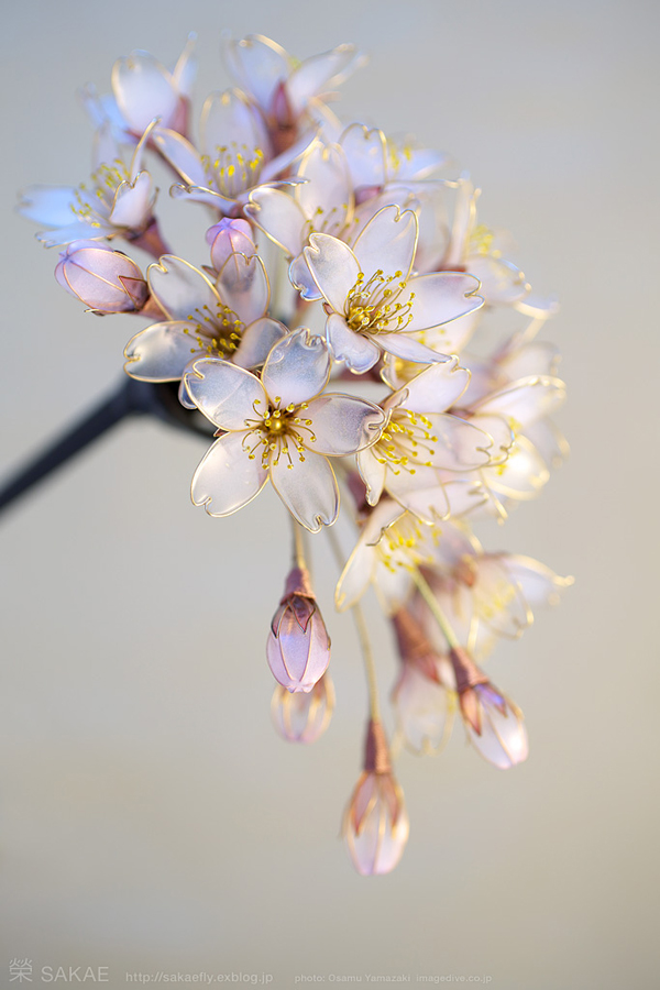 Kanzashi Sakae
