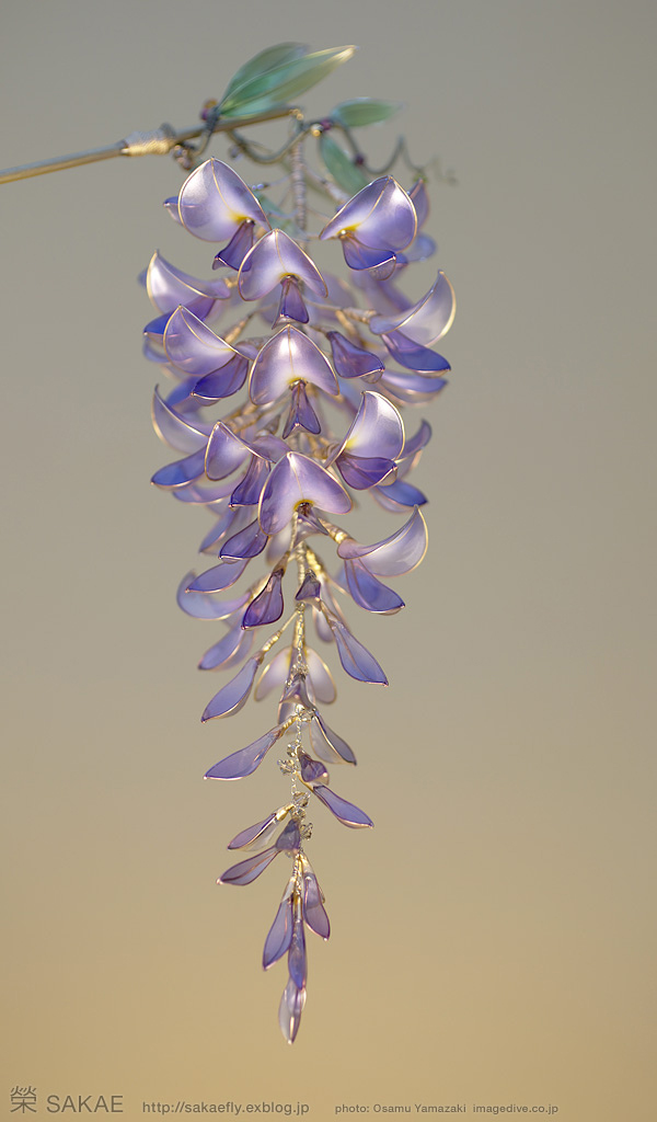 realistic flowers