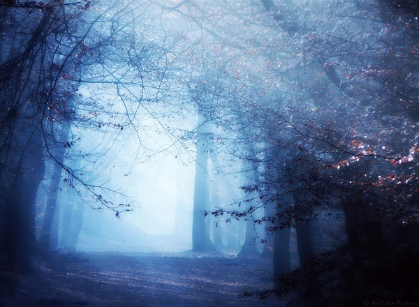 beautiful landscapes