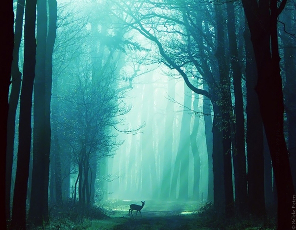 beautiful landscapes