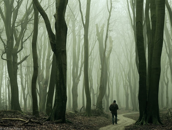 Nelleke Pieters landscapes