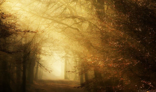beautiful landscapes