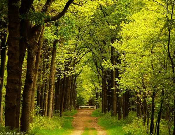 beautiful landscapes