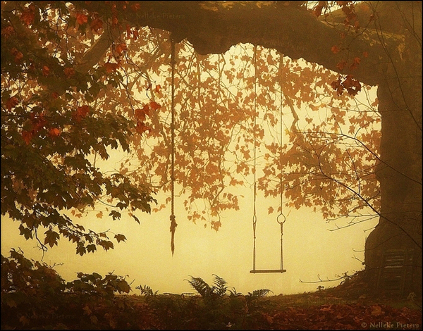Nelleke Pieters landscapes