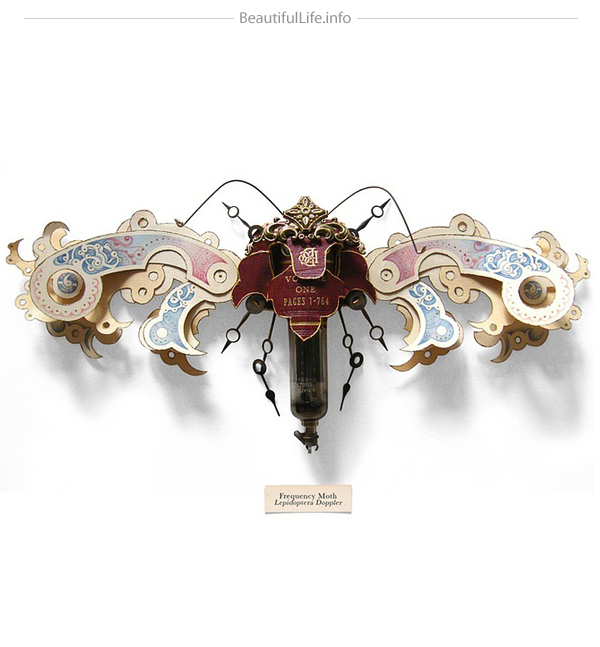 Mark Oliver insects