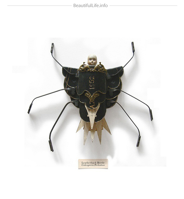 Mark Oliver bugs