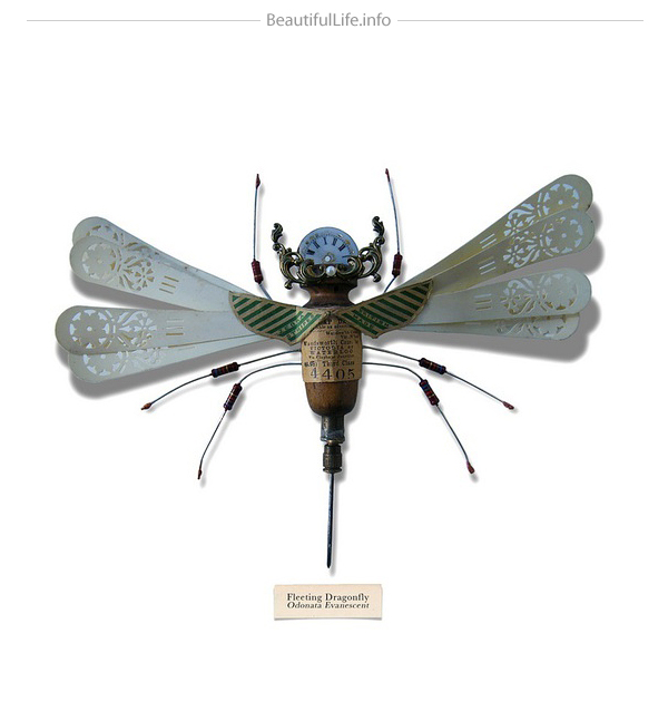 Mark Oliver insects