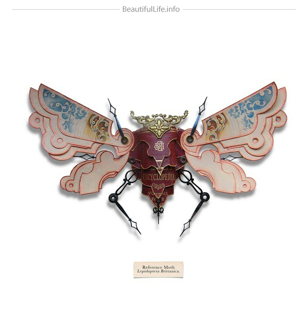 insects