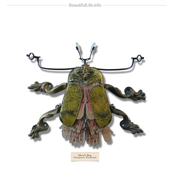 Mark Oliver insects