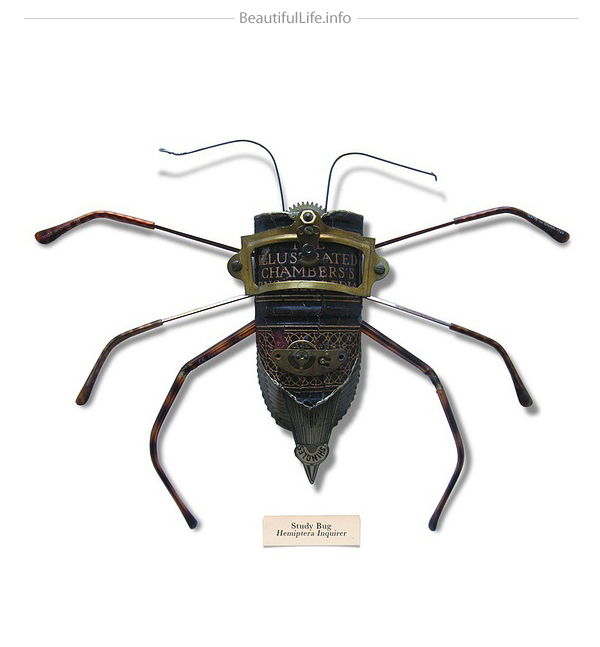 insects