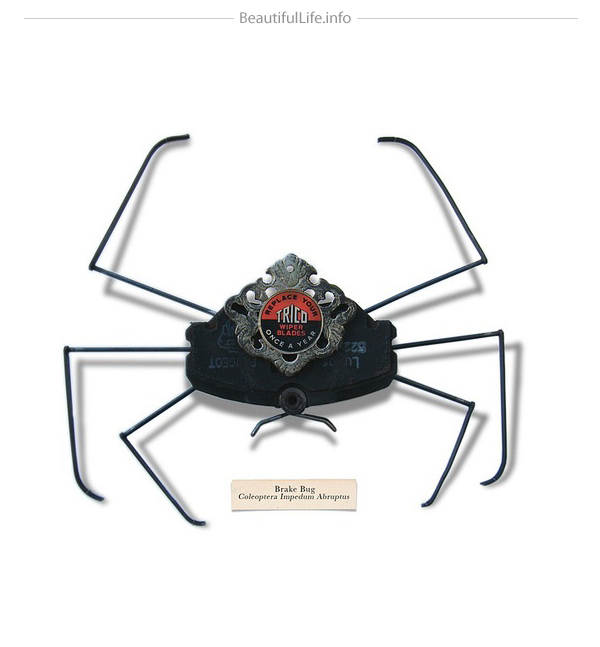 Mark Oliver insects