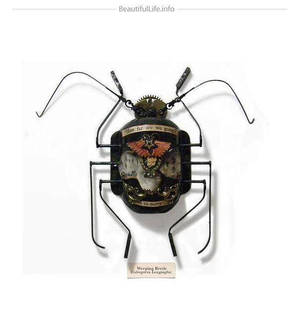 Mark Oliver insects