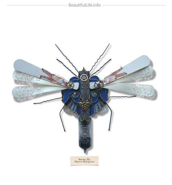Mark Oliver bugs