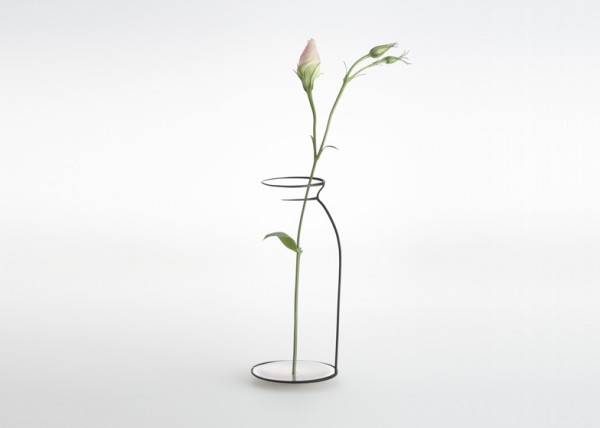 Kishu collection
