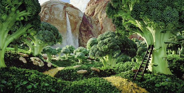 foodscapes