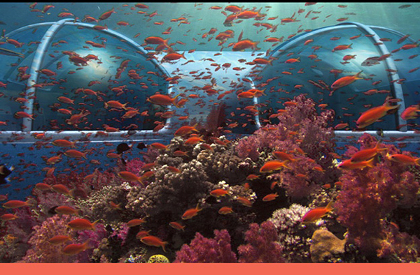 Fiji's Poseidon Resort