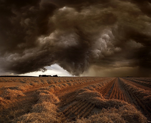 Franz Schumacher art photos