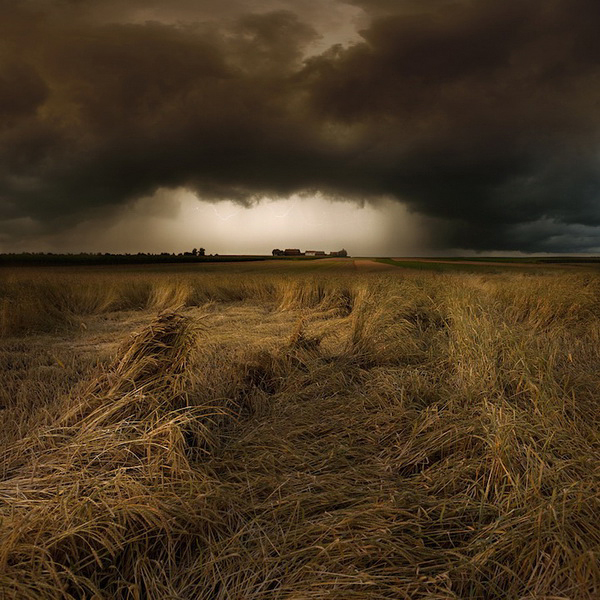Franz Schumacher art photos