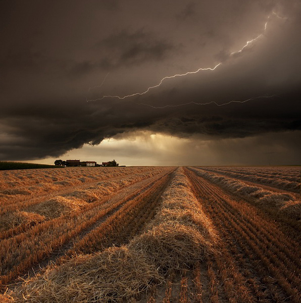 Franz Schumacher art photos