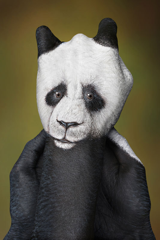 Guido Daniele Handimals