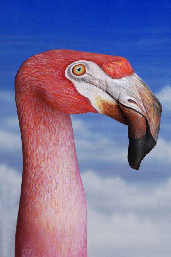 Guido Daniele Handimals