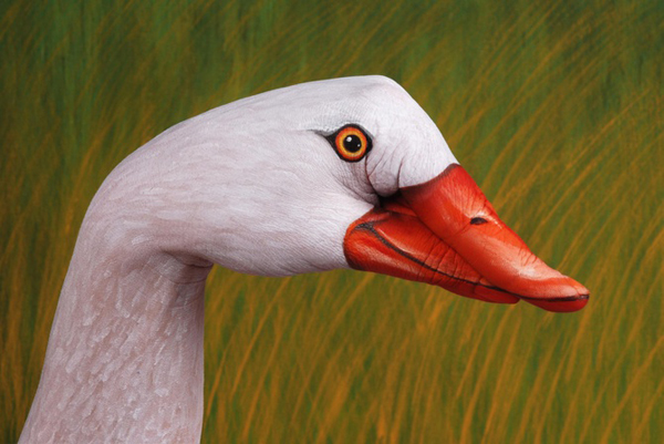 Guido Daniele