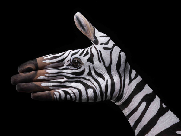 Guido Daniele Handimals