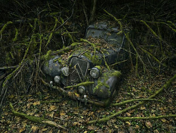 rusting cars