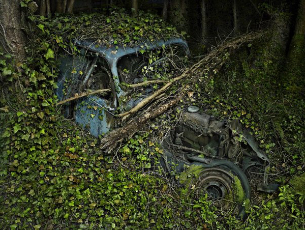 abandoned cars