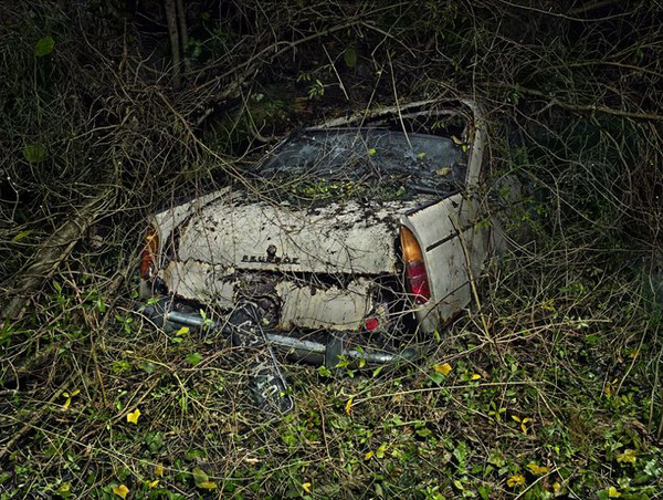 Peter Lippman photo