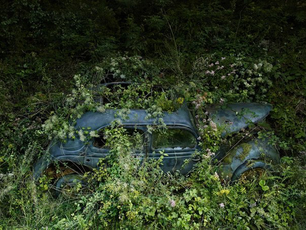 Paradise Parking