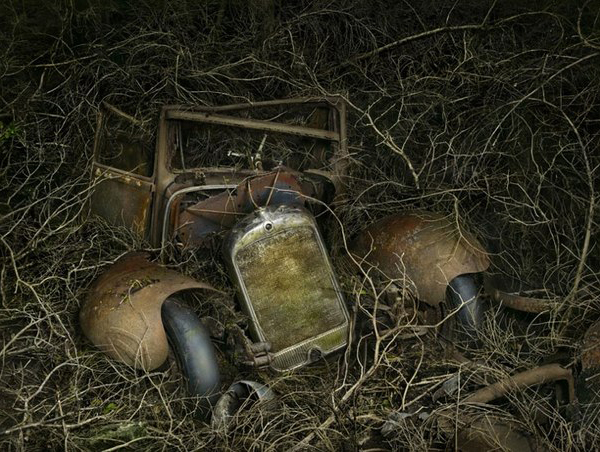 Peter Lippman photo