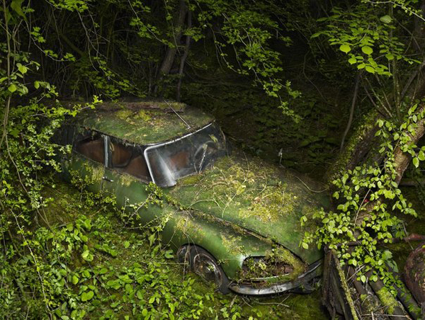 Peter Lippman