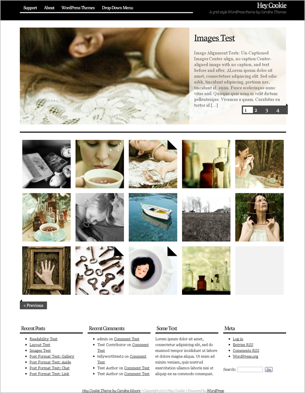 Free Hey Cookie WordPress Theme