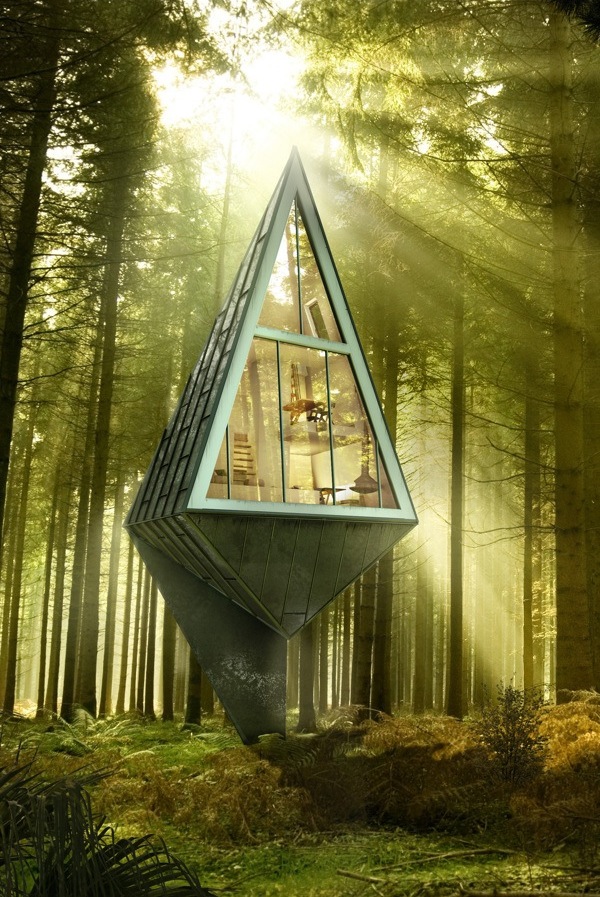 Single Pole House