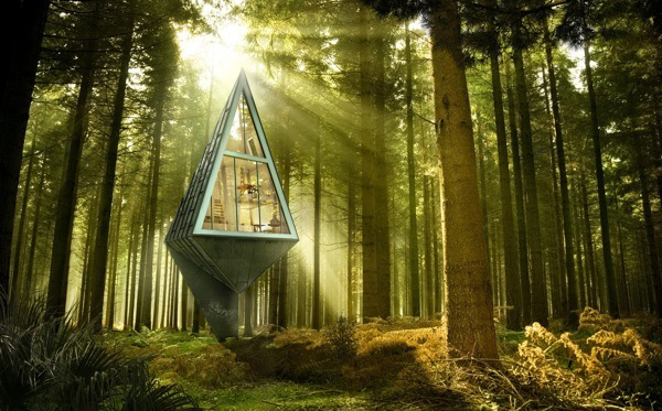 Single Pole House