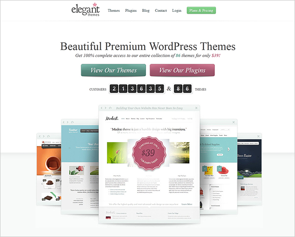 ElegantThemes wordpress ecommerce themes