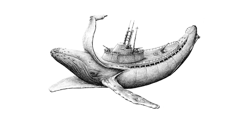 Redmer Hoekstra illustrations