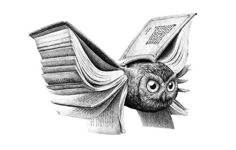 Redmer Hoekstra illustrations