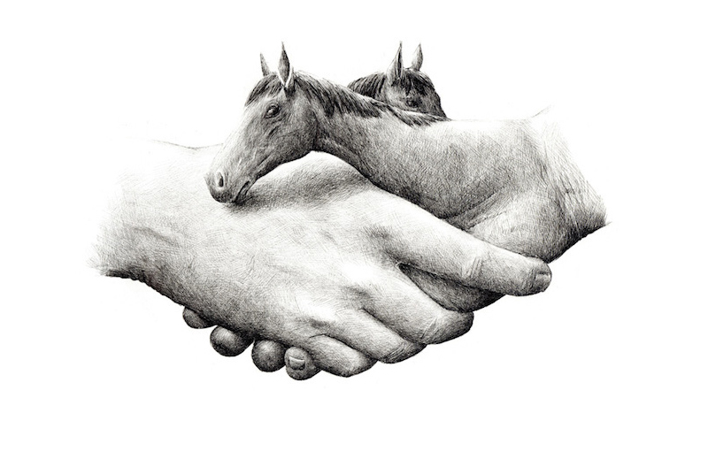 Redmer Hoekstra illustrations