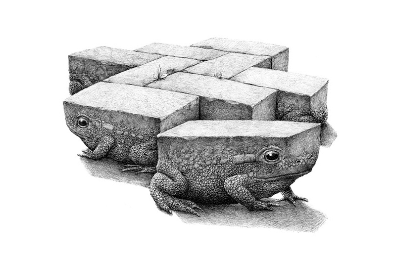 Redmer Hoekstra illustrations