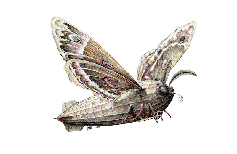 Redmer Hoekstra illustrations