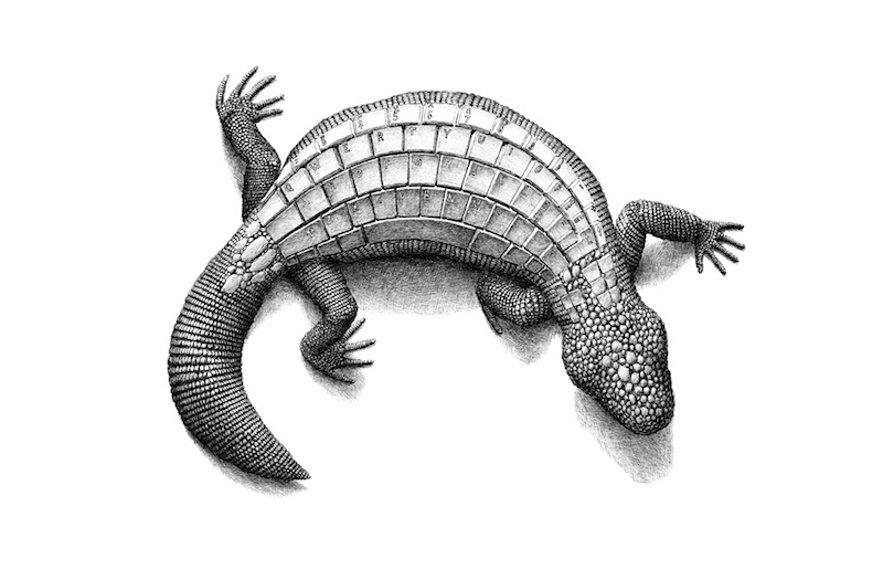 Redmer Hoekstra illustrations