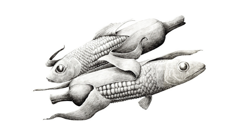 Redmer Hoekstra illustrations
