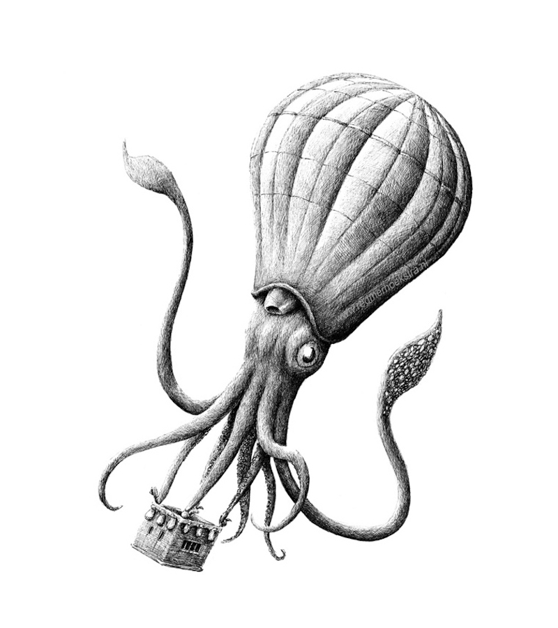Redmer Hoekstra illustrations