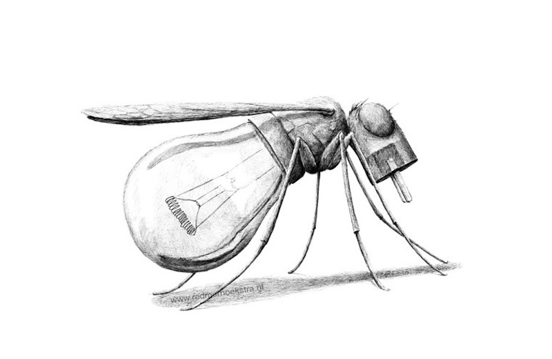 Redmer Hoekstra illustrations