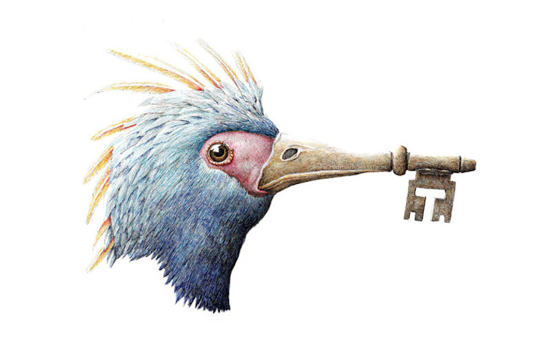 Redmer Hoekstra illustrations