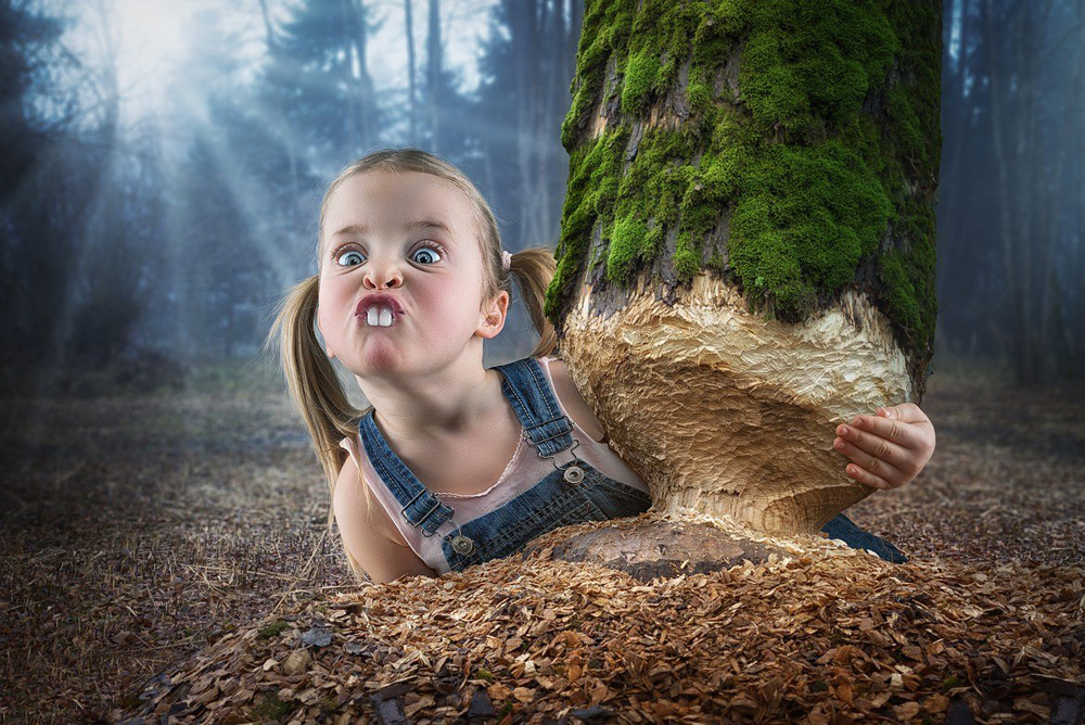 John Wilhelm photos