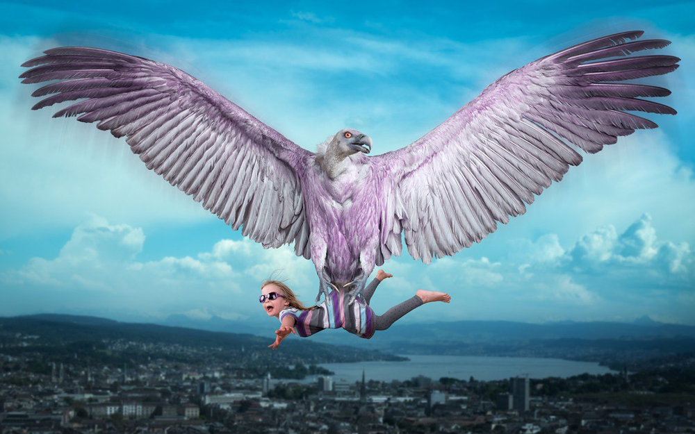John Wilhelm photos