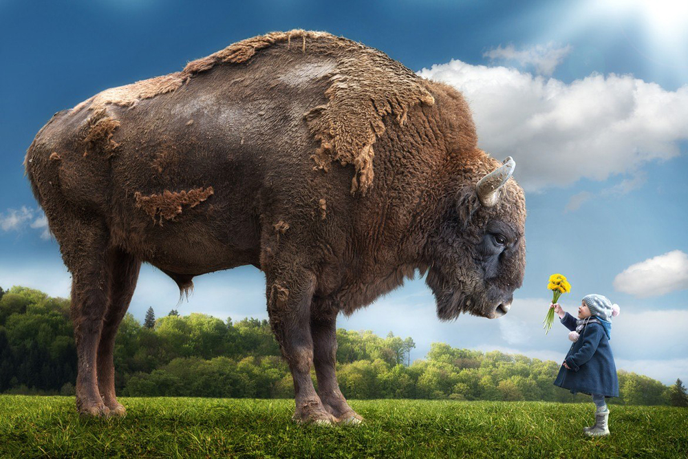 John Wilhelm photos